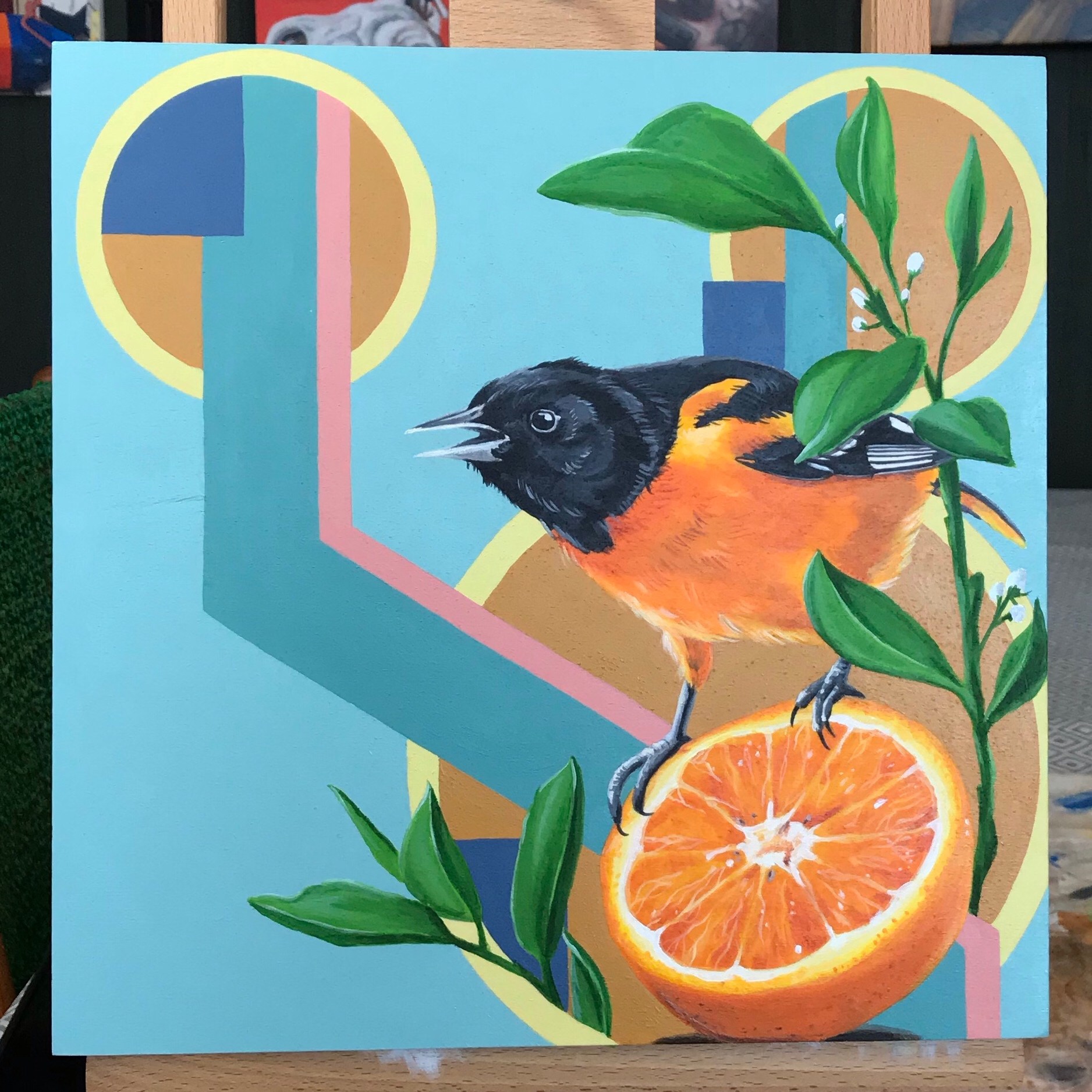 Baltimore oriole and orange half