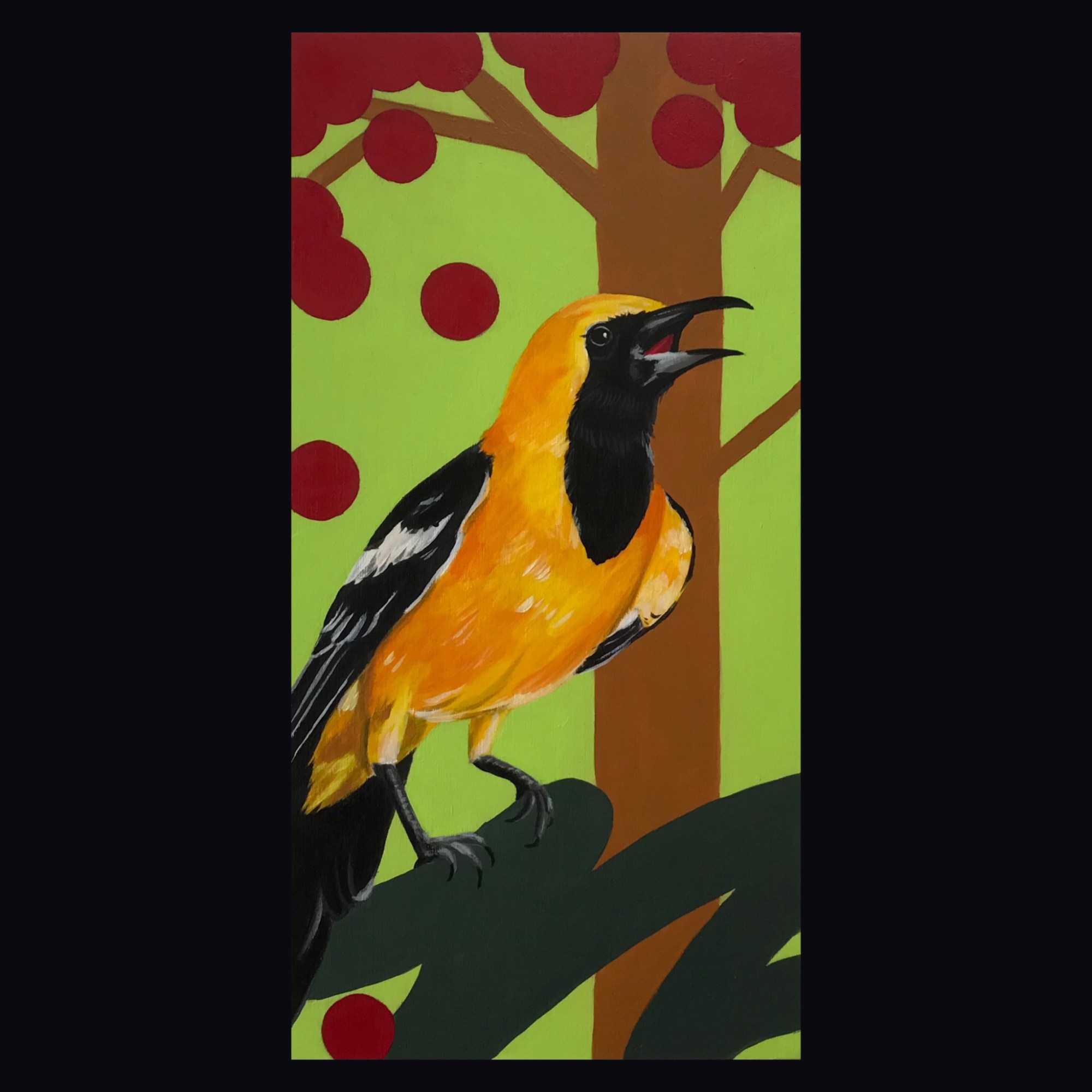 Hooded oriole and cherry tree