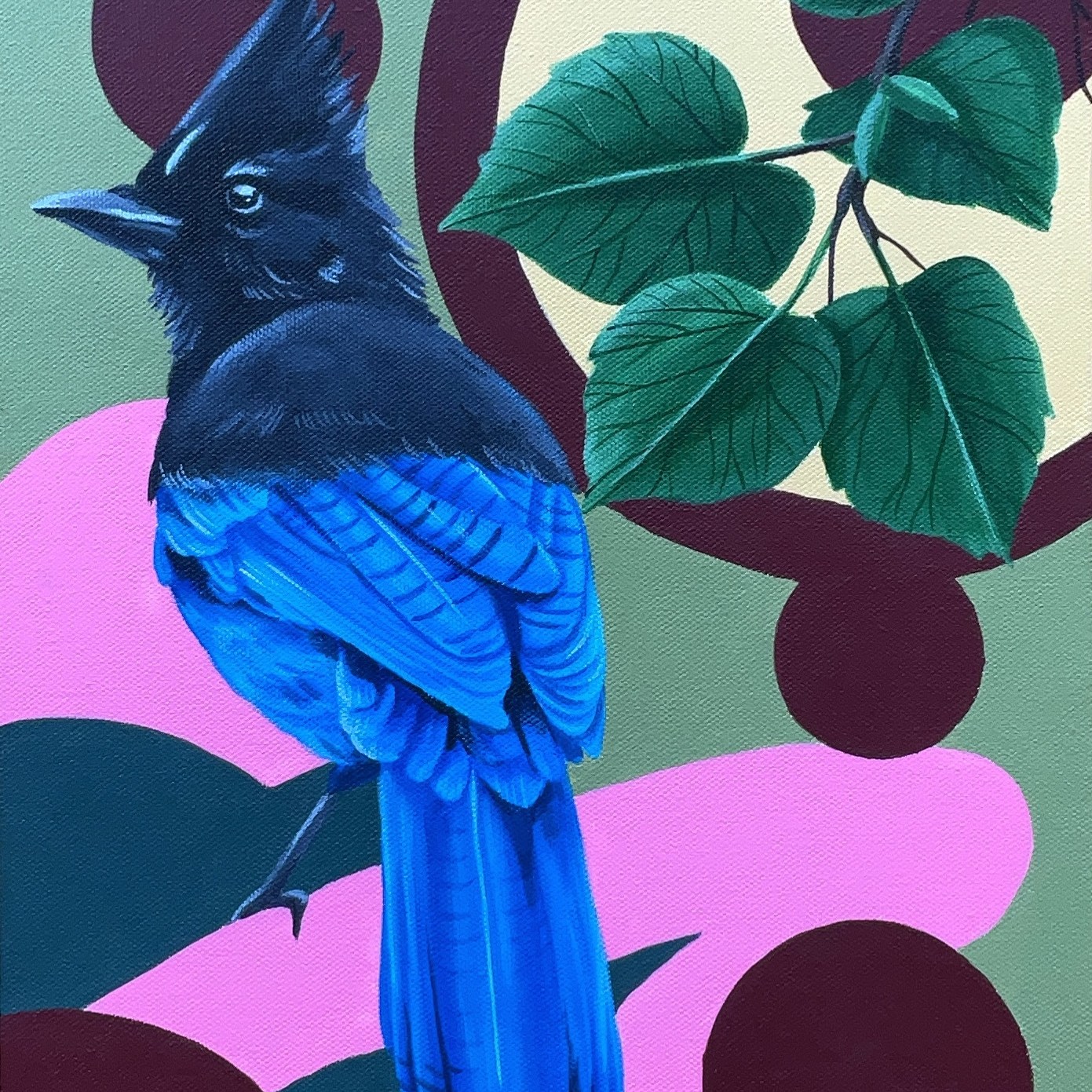 Stellers Jay and leaves on a geometric background